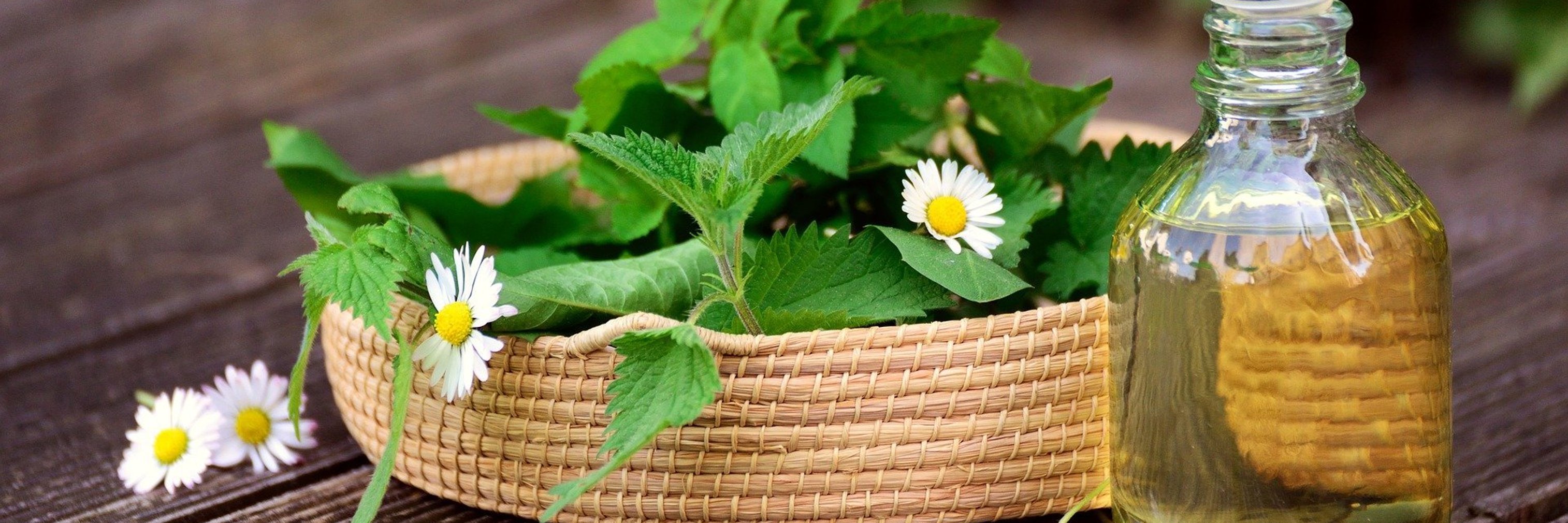 Bild von <a href="https://pixabay.com/de/users/congerdesign-509903/?utm_source=link-attribution&utm_medium=referral&utm_campaign=image&utm_content=5145166">congerdesign</a> auf <a href="https://pixabay.com/de/?utm_source=link-attribution&utm_medium=referral&utm_campaign=image&utm_content=5145166">Pixabay</a>